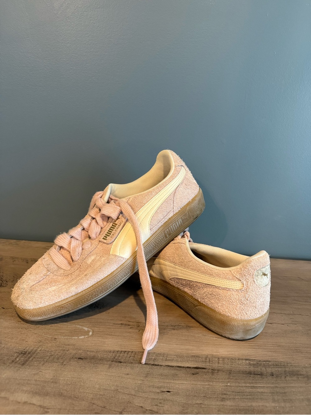 PUMA Palermo